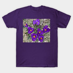 Purple Crocuses T-Shirt